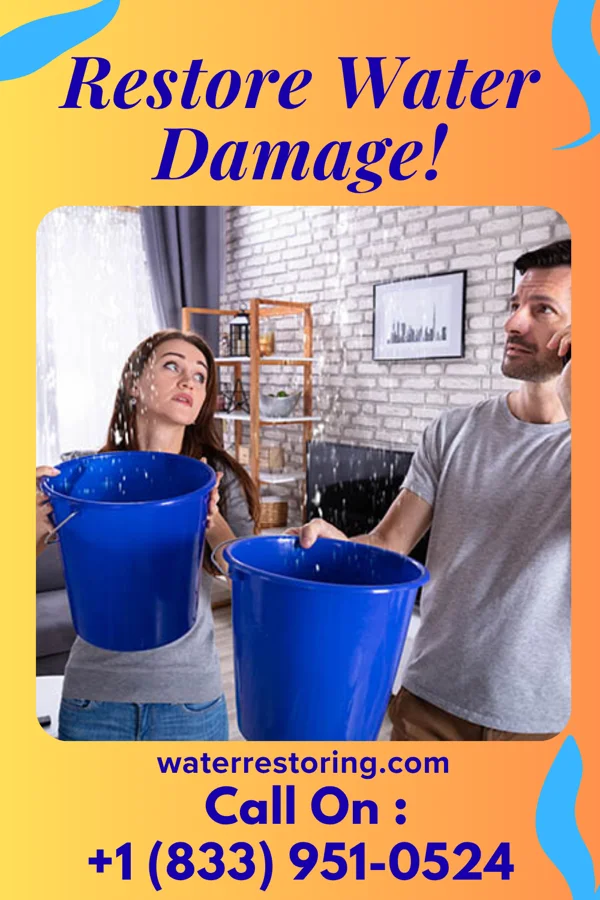 water restoration Zenith Water Repair & Associates St. Joseph