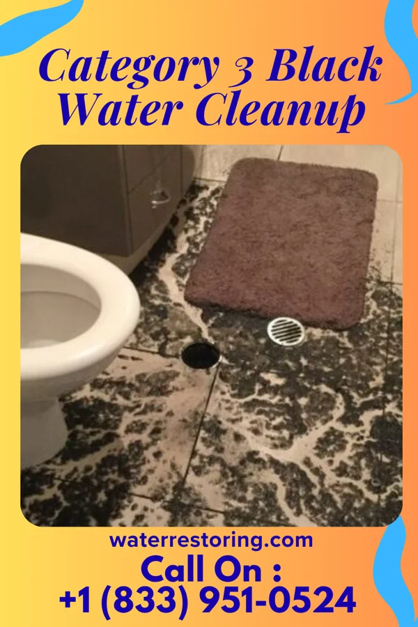 Category 3 Black Water Cleanup in St. Joseph, IL