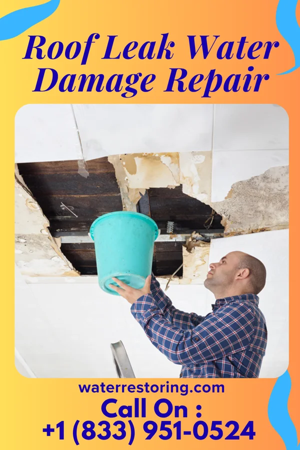 Roof Leak Water Damage Repair in St. Joseph, IL