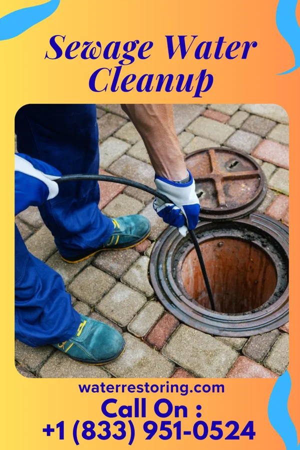 Sewage Water Cleanup in St. Joseph, IL